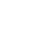 Basquete