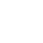 Futebol
